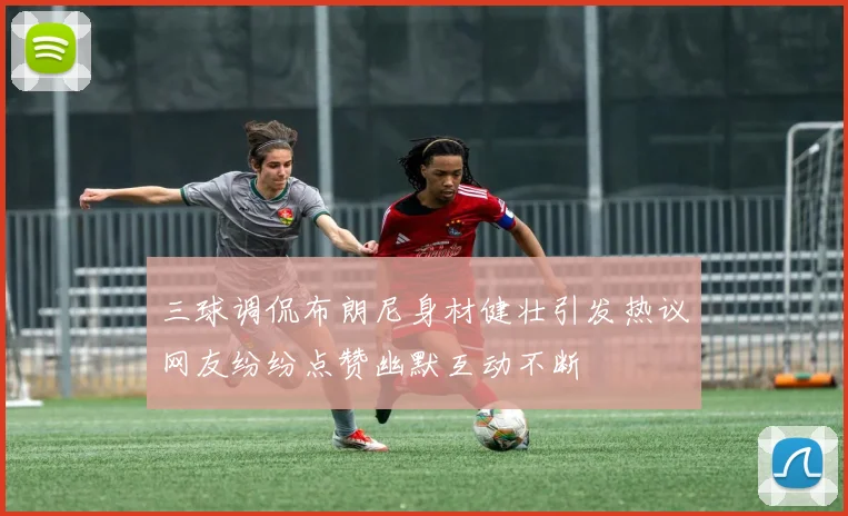三球调侃布朗尼身材健壮引发热议网友纷纷点赞幽默互动不断