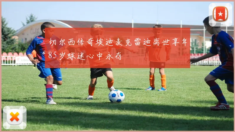 切尔西传奇埃迪麦克雷迪离世享年85岁球迷心中永存